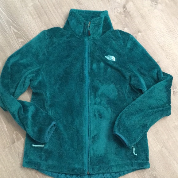 The North Face Jackets & Blazers - North Face jacket